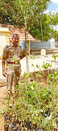 சாம்சன்...இன்ஸ்பெக்டர் ஆஃப் போலீஸ்... மக்களுக்கு மட்டுமல்ல, மரங்களுக்கும் !
