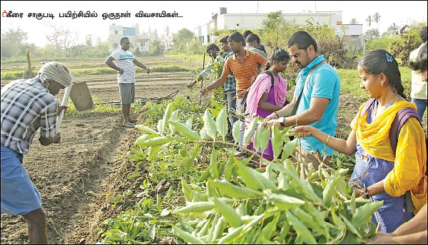 ஒரு நாள் விவசாயி! பருவம்-2 - அசத்தும் கீரை சாகுபடி!