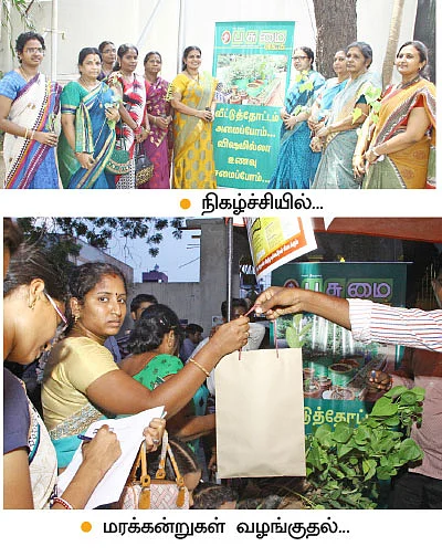பிட்ஸ்