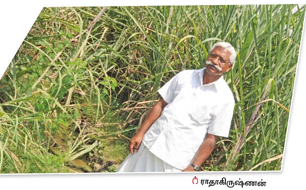 பஞ்சகவ்யா - 8