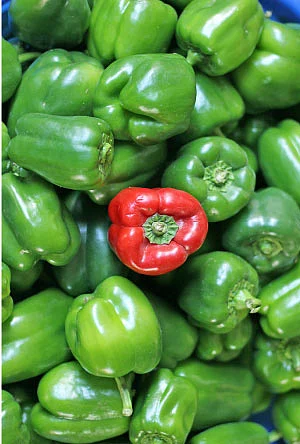 இயற்கை டாக்டர்