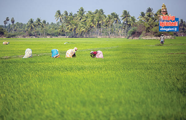நாட்டுப்புற தெய்வங்கள் - வில்லுபாட்டு