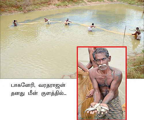 பணம் கொழிக்கும் பண்ணைக் குட்டை மீன் வளர்ப்பு !