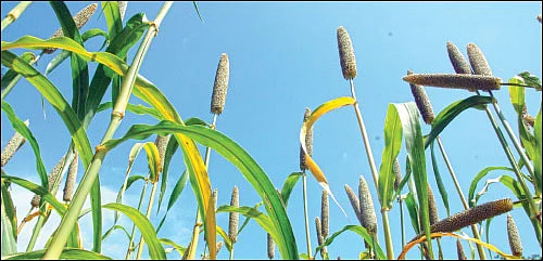 ஆயிரம் சூரியன் ஆயிரம் சந்திரன் ஒரே ஒரு பூமி - 35