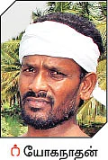 கீரை வாங்கலையோ கீரை!