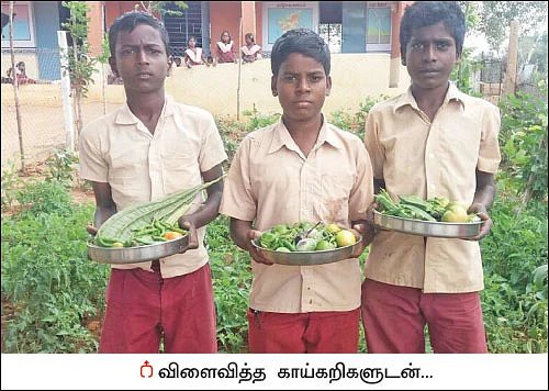 பள்ளியில் காய்கறித் தோட்டம்... அசத்தும் அரசுப்பள்ளி மாணவர்கள்!