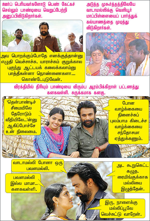வாடாமல்லி இல்லைனா கனகவள்ளி!