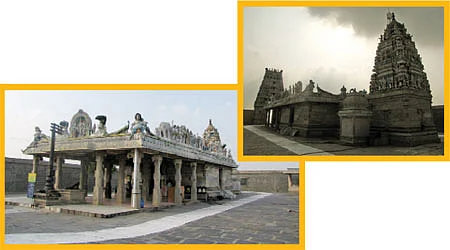 வெற்றி தரும் வேலவன்!