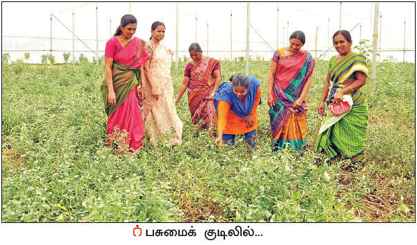 ஒரு நாள் விவசாயி! பருவம் - 2 - அசத்தலான இயற்கைப் பண்ணை!