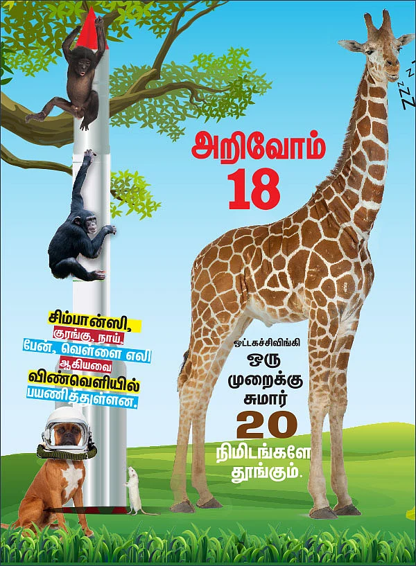 அறிவோம் 18