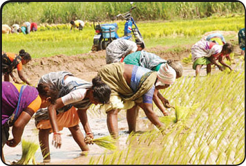 பசுமை ஒலி