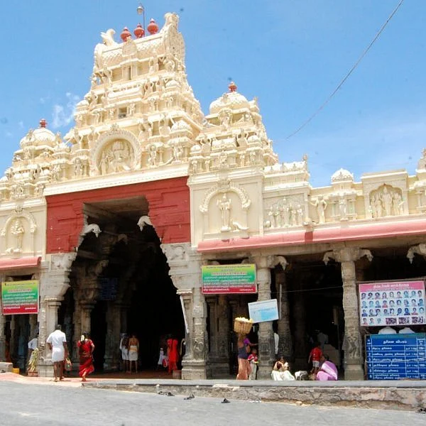 விசாகத் திருவிழா தூத்துக்குடி மாவட்டத்துக்கு மே 28-ம் தேதி உள்ளூர் விடுமுறை - ஆட்சியர் அறிவிப்பு