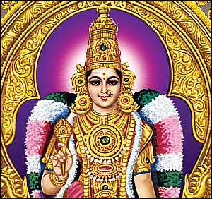 2016 புத்தாண்டு ராசிபலன்கள்