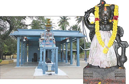 குதிரை... குலுங்க..! குலுங்க..!