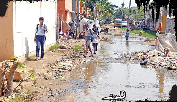 இது நவீன இன சுத்திகரிப்பு!