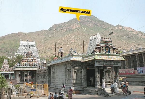 உள்கட்டமைப்பு வசதிகள் உடனடியாக தேவை ! 