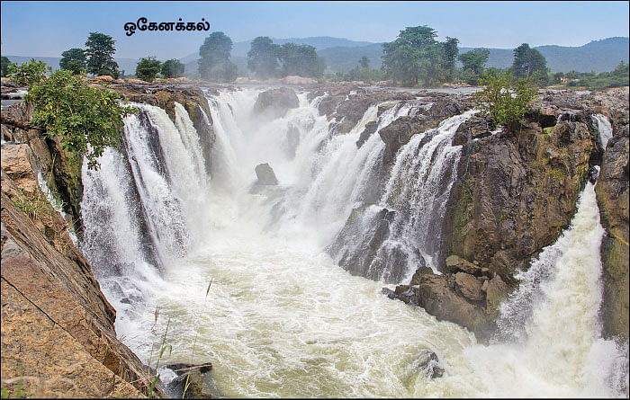 சேலம் 150 - இன்ஃபோ புக்
