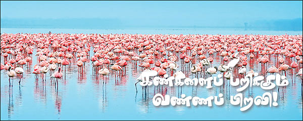 மாயா டீச்சரின் மந்திரக் கம்பளம்!