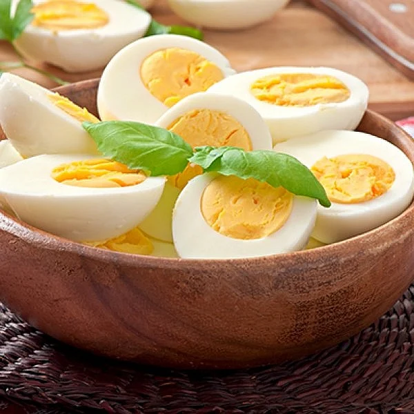 egg
