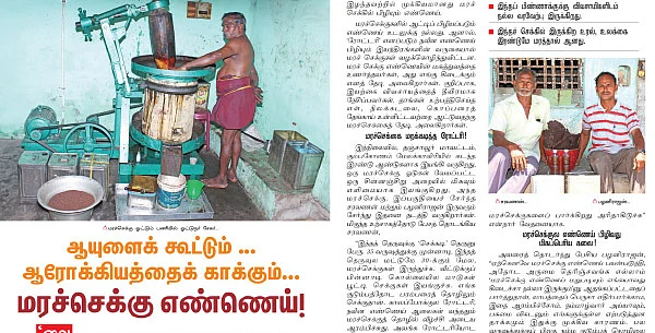 தேங்காய்ப் பிண்ணாக்கு... மாடுகளுக்குக் கொடுக்கலாமா?
