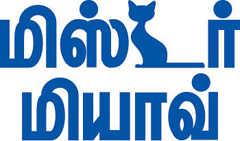 மிஸ்டர் மியாவ்