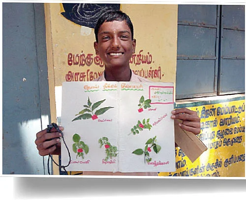 FA பக்கங்கள்