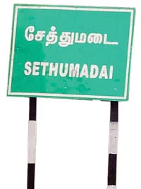 உச்சந்தலை போதை... உடல் அதிரும் இசை... நள்ளிரவு நடனம்!