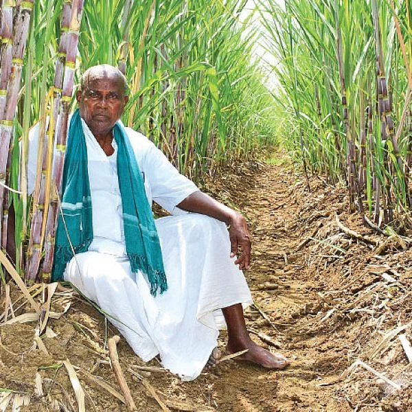 புளியங்குடி அந்தோணிசாமி