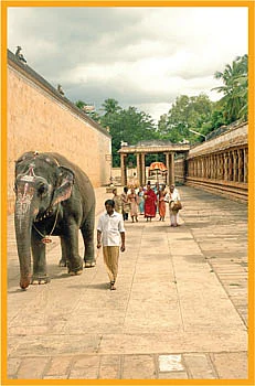 மன்னவன்... நாயனார்... மாடக்கோயில்கள்!
