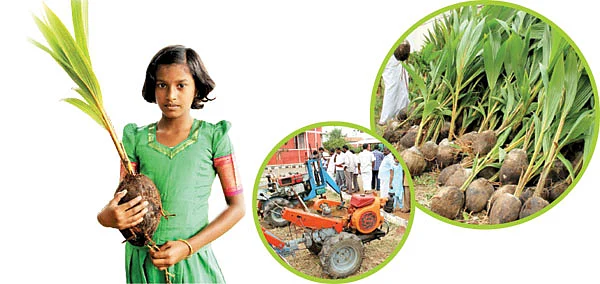 களைப்பு இல்லா கலப்பை!