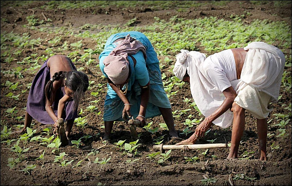 பெண் காலங்களும் களங்களும் - வெய்யில்