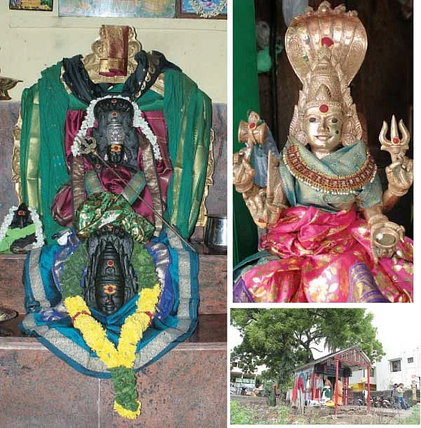 பிள்ளை வரம் தரும் எலுமிச்சை வழிபாடு!