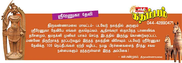 ஸ்ரீரமண மகரிஷி