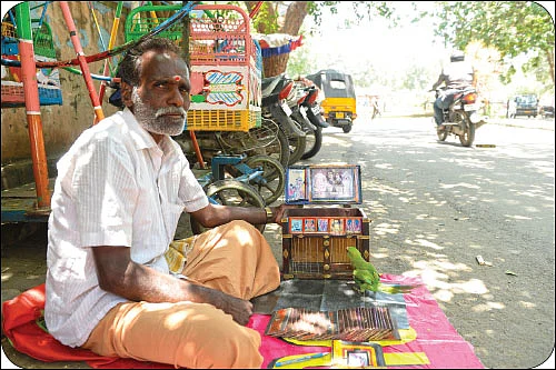 கிளி ஜோசியம் பார்க்கலையோ கிலி ஜோசியம்!