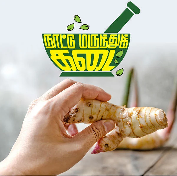நாட்டு மருந்துக் கடை - 8