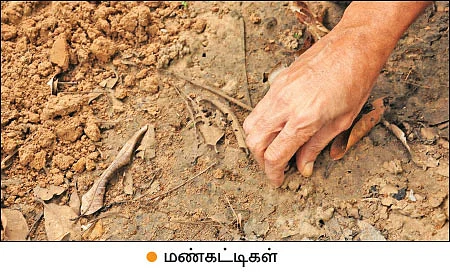 மண், மக்கள், மகசூல்! - மாட்டுச்சாணம் மூலம் மண் நலத்தை அறியலாம்!