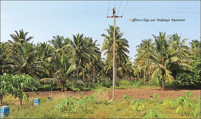 ஆண்டுக்கு ரூ 10 லட்சம் லாபம்... ஜீரோபட்ஜெட்டில் செழிக்கும் இயற்கைப் பண்ணை!