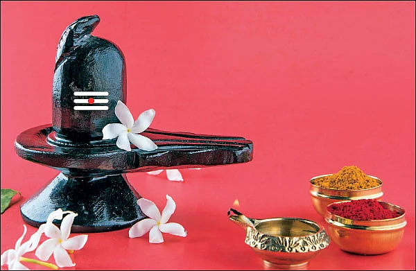 சிவ மலர்கள்!