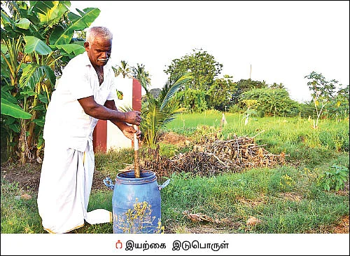 ஏக்கருக்கு ரூ. 1 லட்சம் செழிப்பான லாபம் தரும் - இயற்கை சம்பங்கி