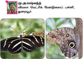 சுட்டி நியூஸ்
