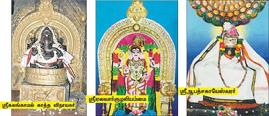 தேவாரத் திருவுலா! - ஆலங்குடி