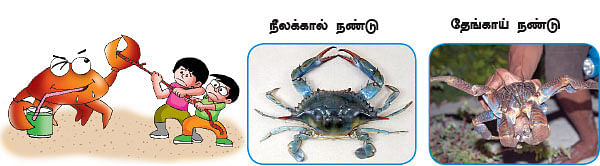 மாயா டீச்சரின் மந்திரக் கம்பளம்!