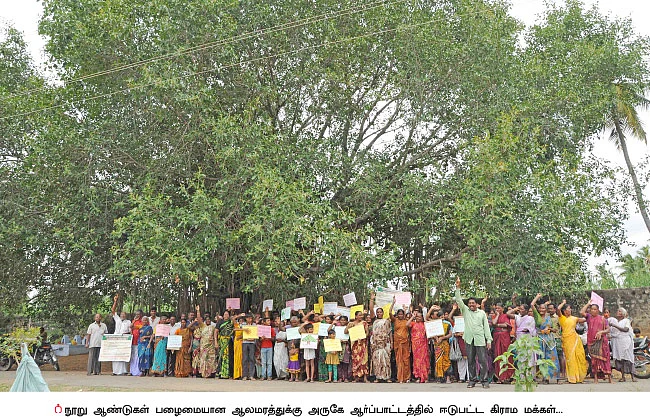 மர மீட்பு போராட்டம்!