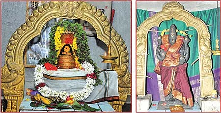 ஆரோக்கியம் அருளும் ஆலய விருட்சங்கள்!