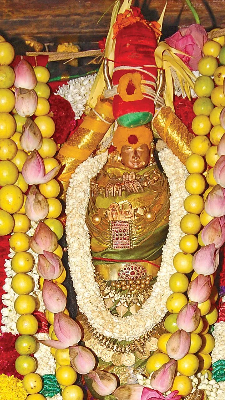 மங்கலங்கள் அருளும் ஆடித்தபசு! - சிறப்புத் தொகுப்பு