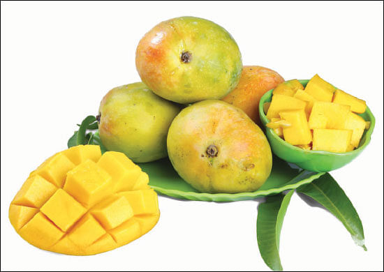 சேலம் 150 - இன்ஃபோ புக்