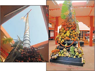 தும்பிக்கையான் துணையிருப்பார்!