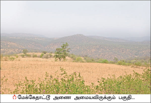 மேக்கேதாட்டு அணை... அநியாயம் செய்யும் கர்நாடகம் அமைதி காக்கும் தமிழகம்!