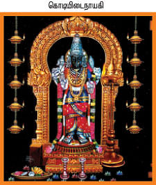 தரிசிப்போம்