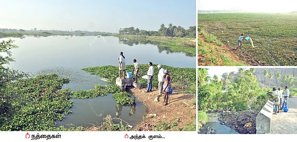 கெட்டுப்போன குளத்தை மீட்டெடுத்த இ.எம்